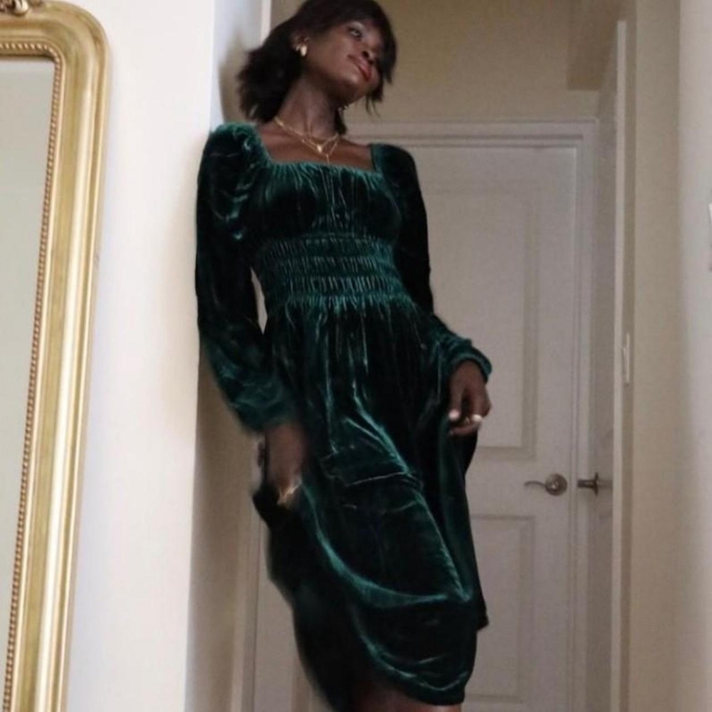 Hill House Velvet Dress • Open to trades